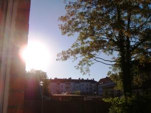 DSCF2402b.JPG