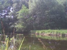 Photo0013.jpg