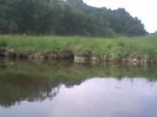 Photo0014.jpg