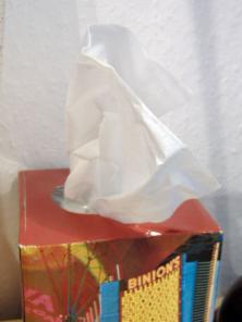 kleenex.jpg