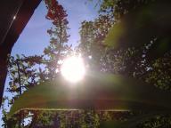 dscf3324b.JPG