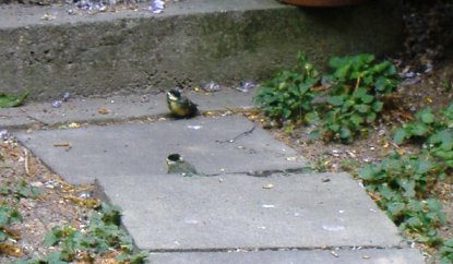 dscf4850b.JPG