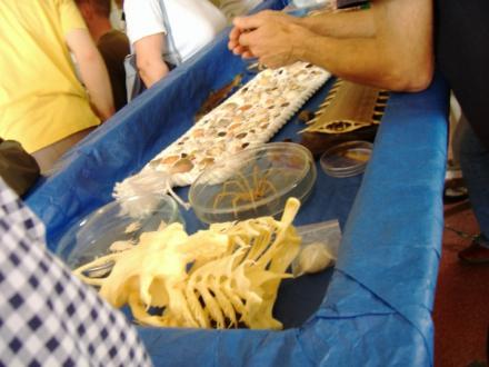dscf5433.JPG