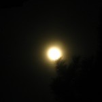 Der Mond durch ein Fernglas II